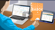 Introduction Outils et Techniques pour <i>BABOK® Guide</i>